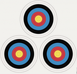 Cibles Arbalète Field